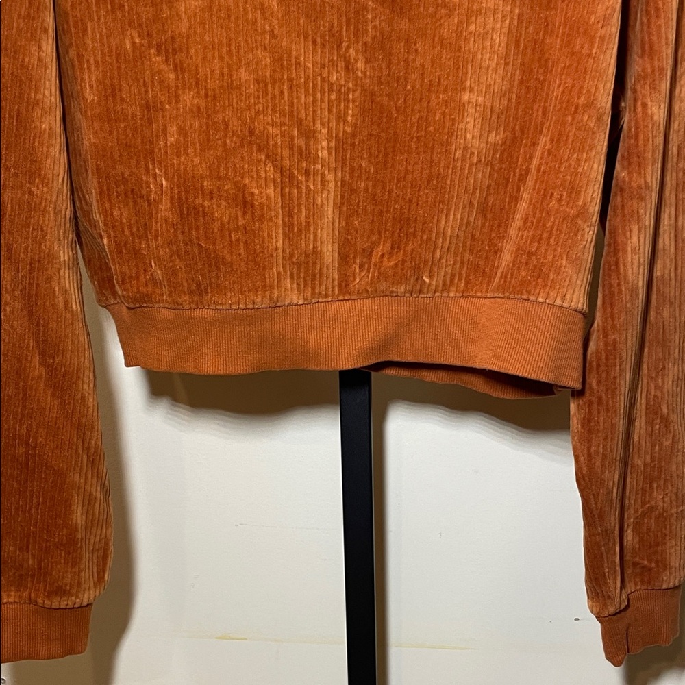 Forever 21 Burnt Orange Velvet Sweatshirt - Picture 4 of 6
